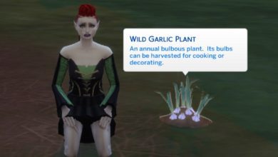 The-Sims-4-find-garlic