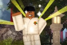 Character in Roblox Karate!